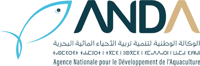 ANDA Logo